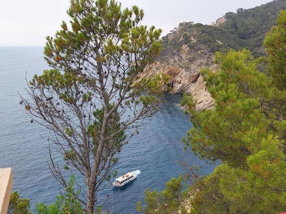 דירות קאנט דה מאר Cala Salions Balandro II Tossa De Mar מראה חיצוני תמונה
