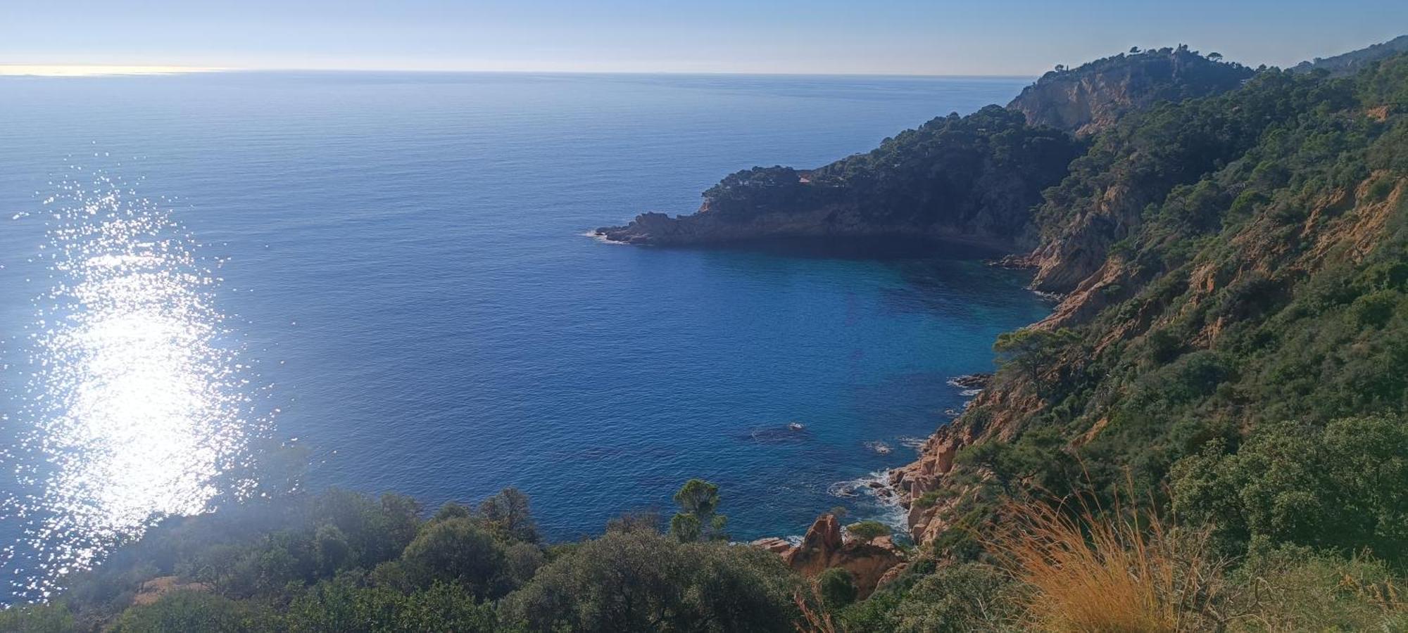 דירות קאנט דה מאר Cala Salions Balandro II Tossa De Mar מראה חיצוני תמונה