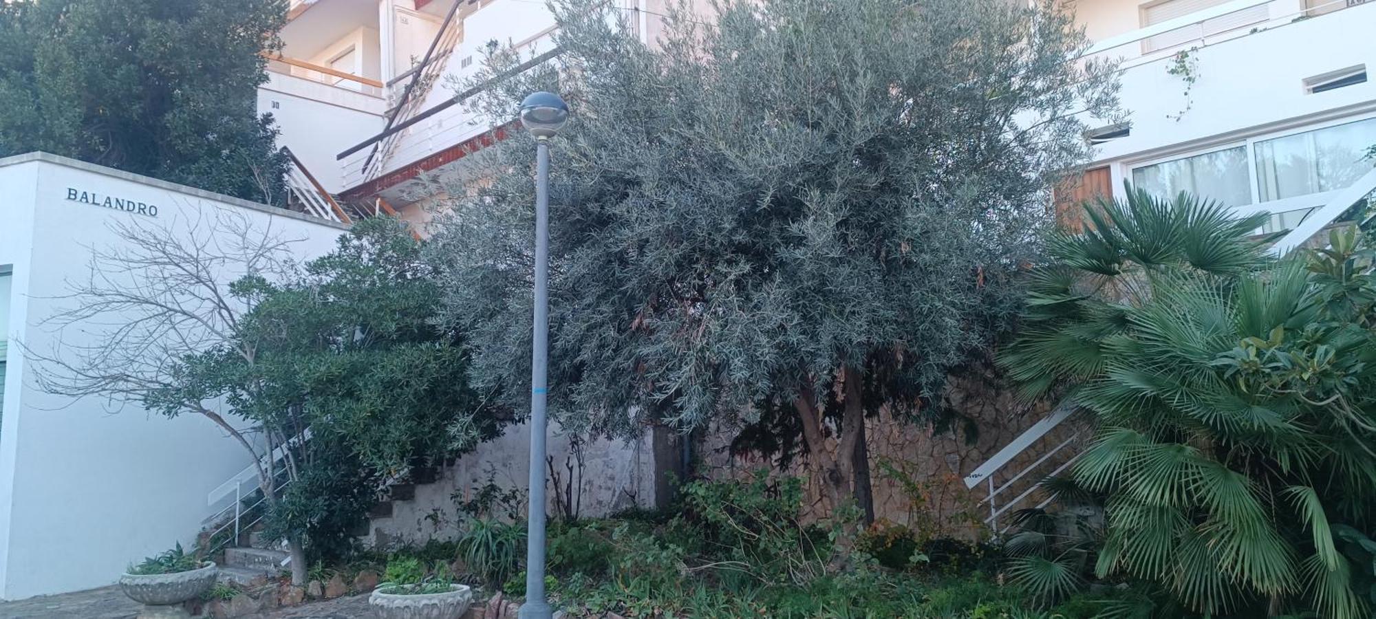 דירות קאנט דה מאר Cala Salions Balandro II Tossa De Mar מראה חיצוני תמונה
